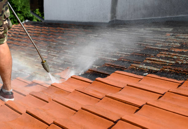 Best Deck Cleaning Services  in Altamont, KS